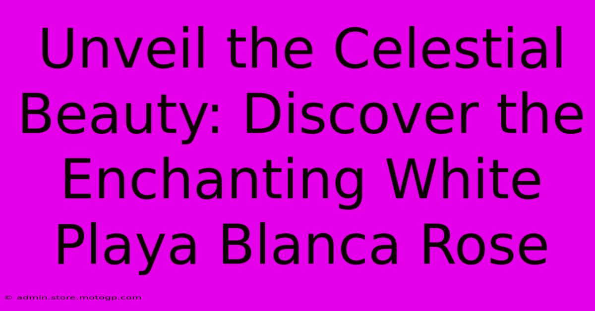 Unveil The Celestial Beauty: Discover The Enchanting White Playa Blanca Rose