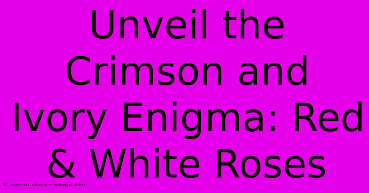 Unveil The Crimson And Ivory Enigma: Red & White Roses