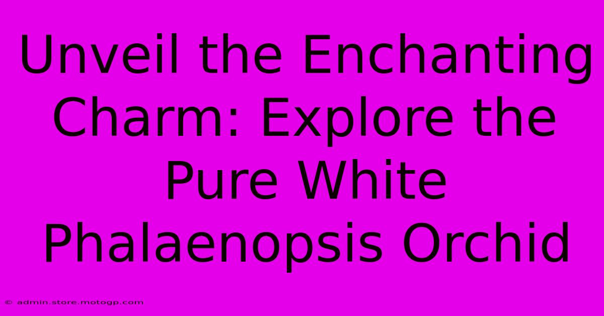 Unveil The Enchanting Charm: Explore The Pure White Phalaenopsis Orchid