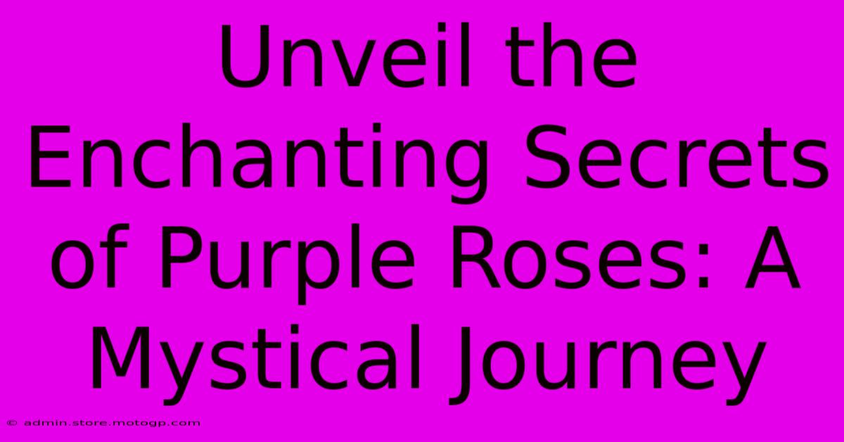 Unveil The Enchanting Secrets Of Purple Roses: A Mystical Journey