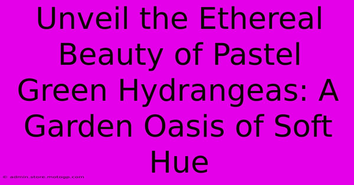Unveil The Ethereal Beauty Of Pastel Green Hydrangeas: A Garden Oasis Of Soft Hue