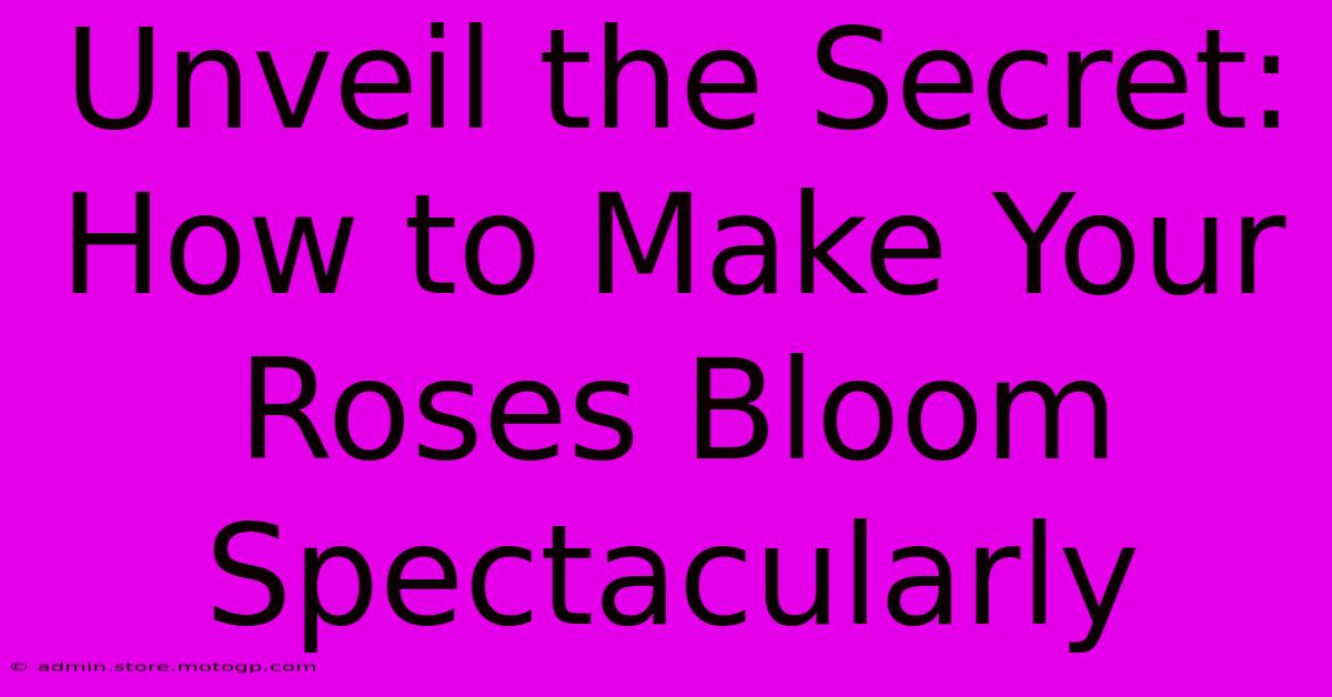 Unveil The Secret: How To Make Your Roses Bloom Spectacularly