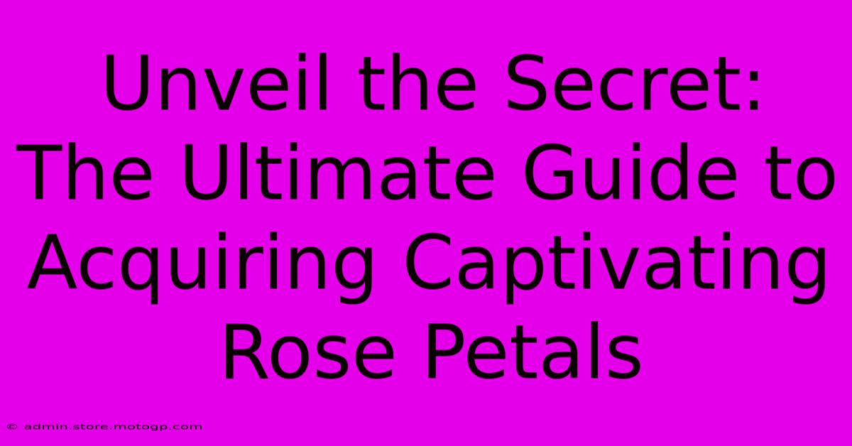 Unveil The Secret: The Ultimate Guide To Acquiring Captivating Rose Petals