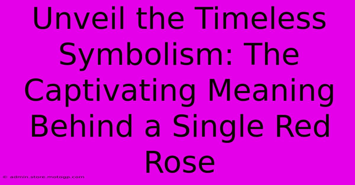 Unveil The Timeless Symbolism: The Captivating Meaning Behind A Single Red Rose