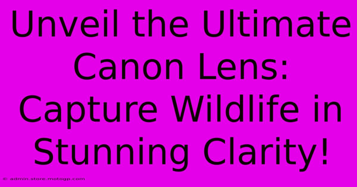 Unveil The Ultimate Canon Lens: Capture Wildlife In Stunning Clarity!