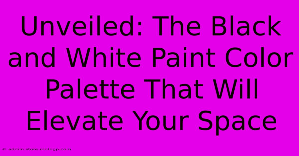 Unveiled: The Black And White Paint Color Palette That Will Elevate Your Space