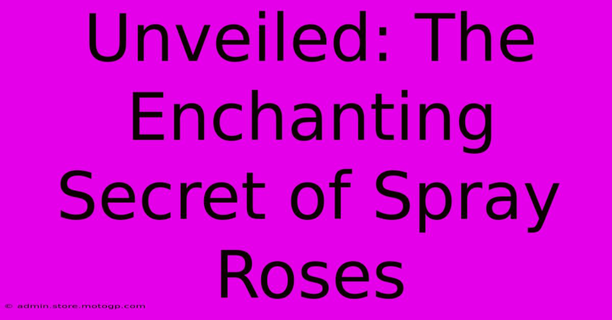 Unveiled: The Enchanting Secret Of Spray Roses