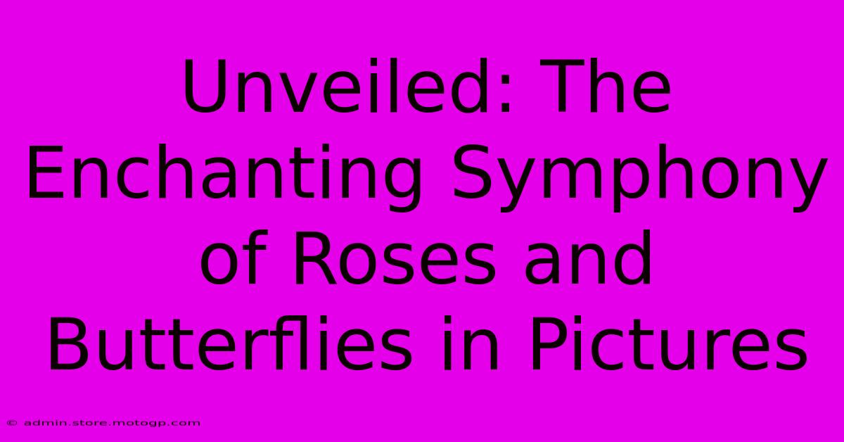 Unveiled: The Enchanting Symphony Of Roses And Butterflies In Pictures