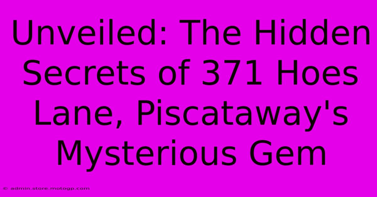 Unveiled: The Hidden Secrets Of 371 Hoes Lane, Piscataway's Mysterious Gem