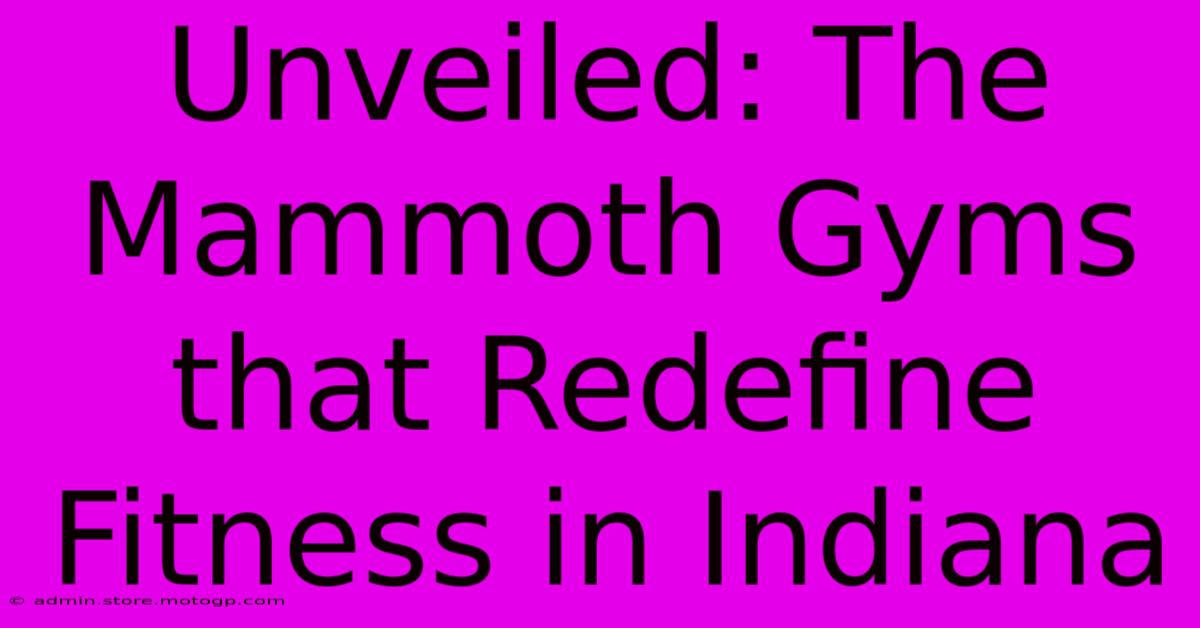 Unveiled: The Mammoth Gyms That Redefine Fitness In Indiana