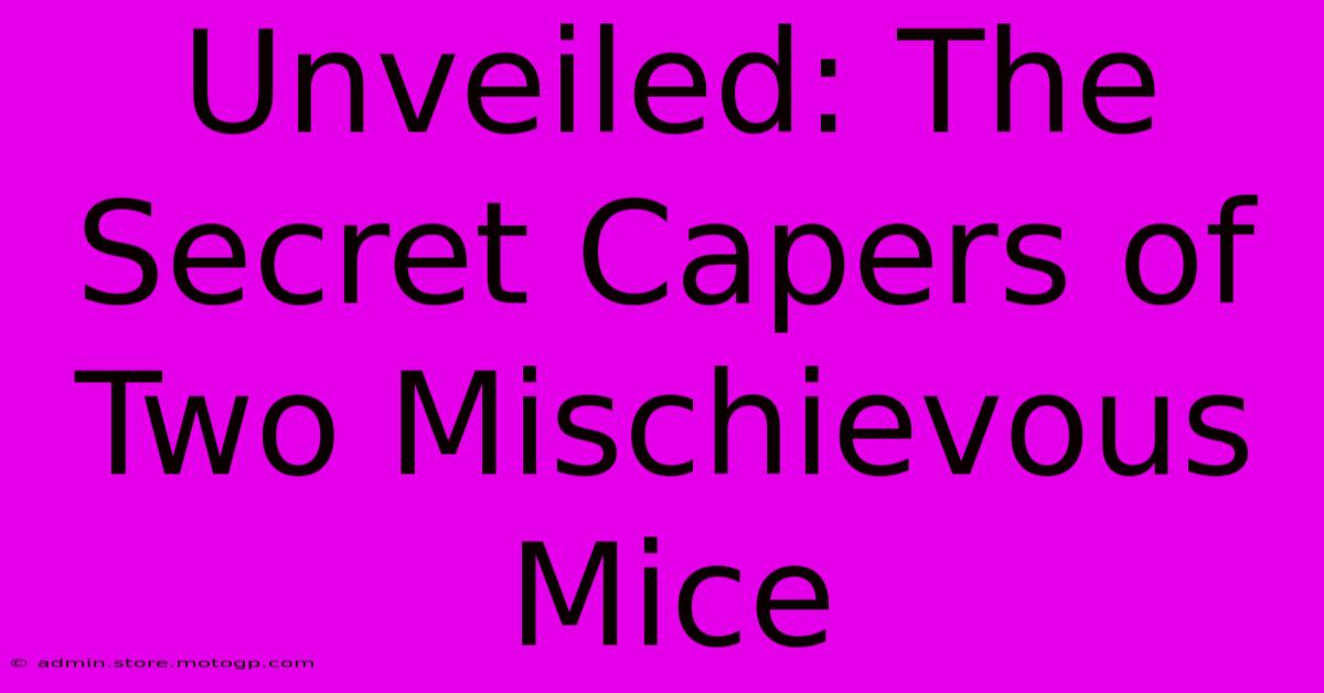 Unveiled: The Secret Capers Of Two Mischievous Mice