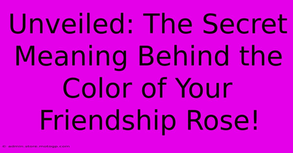 Unveiled: The Secret Meaning Behind The Color Of Your Friendship Rose!