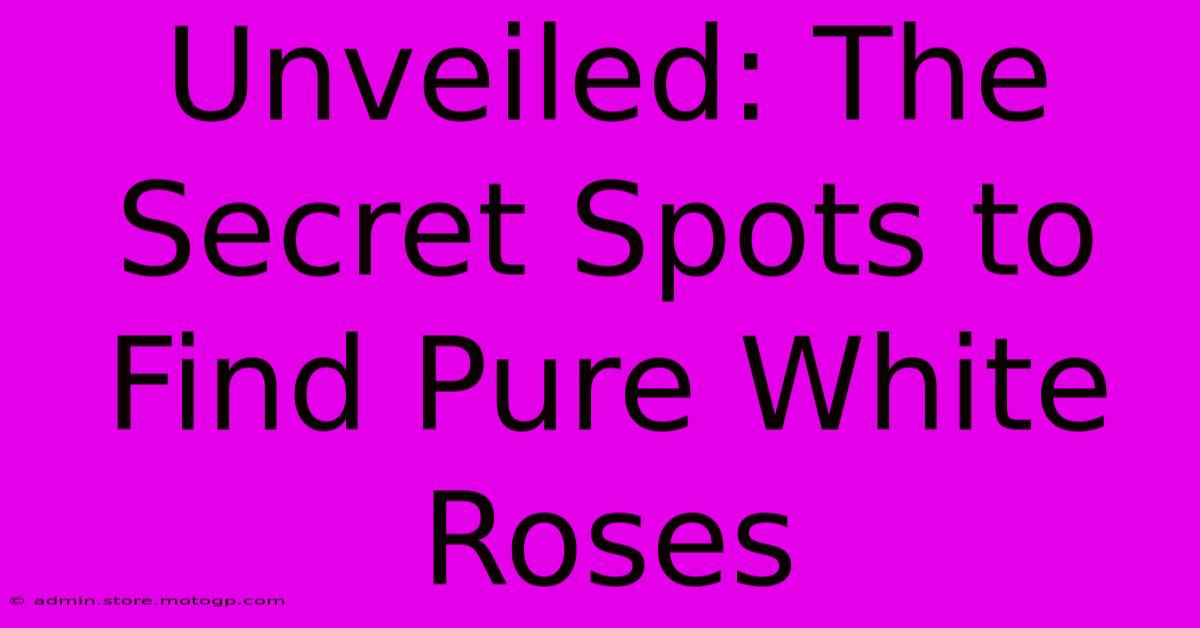 Unveiled: The Secret Spots To Find Pure White Roses