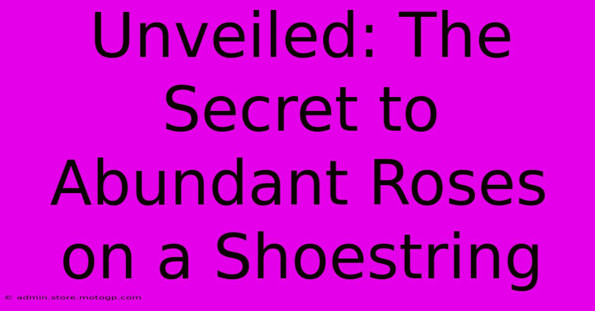 Unveiled: The Secret To Abundant Roses On A Shoestring