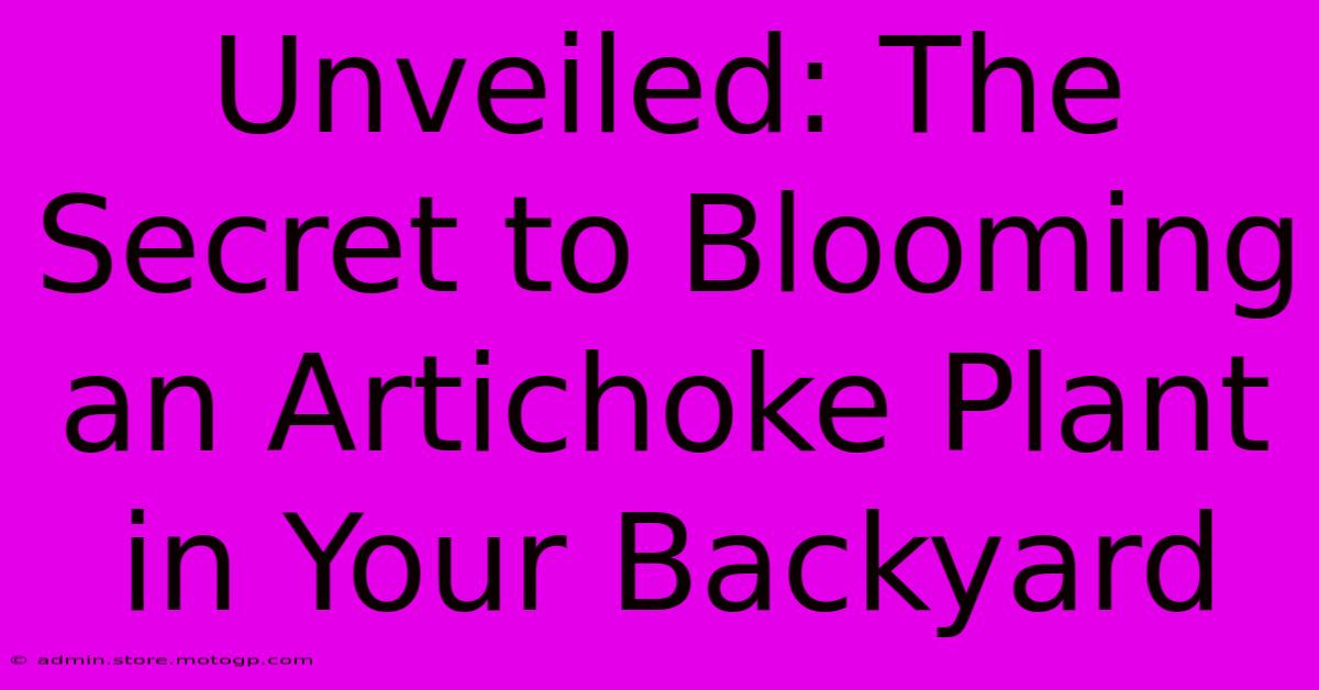 Unveiled: The Secret To Blooming An Artichoke Plant In Your Backyard