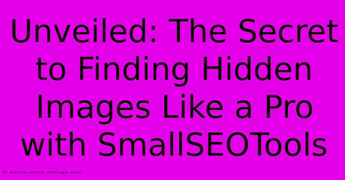 Unveiled: The Secret To Finding Hidden Images Like A Pro With SmallSEOTools