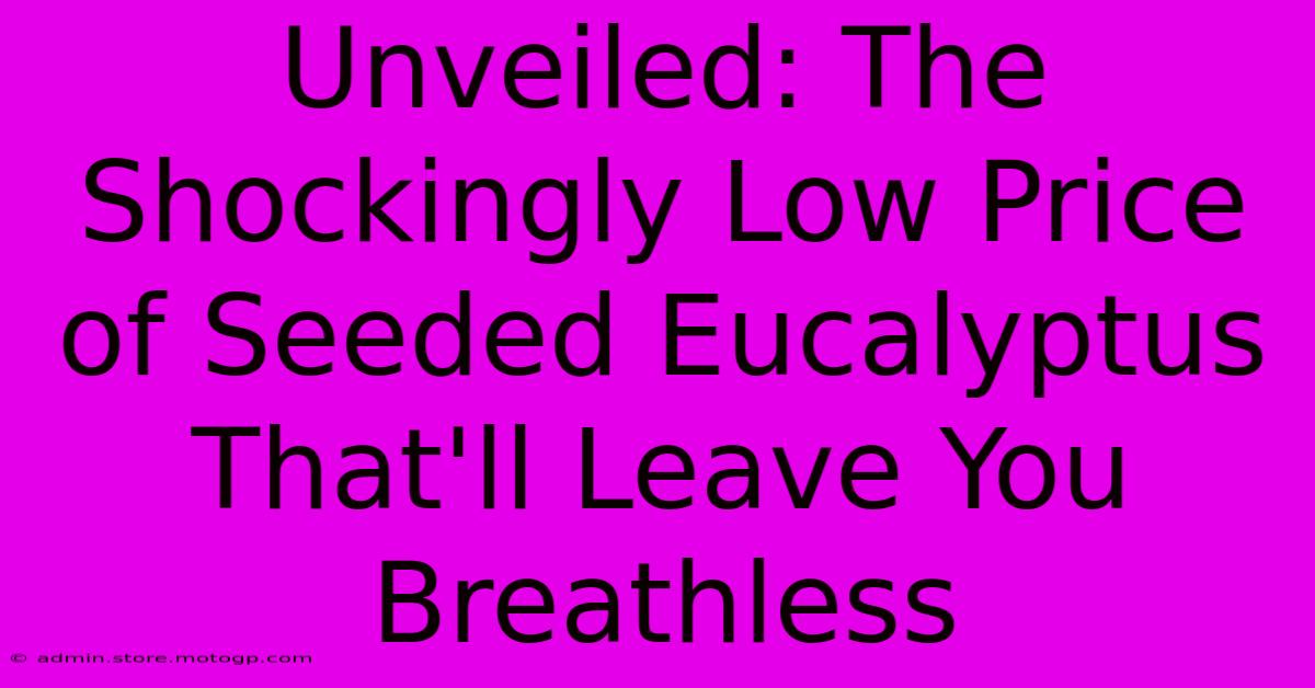 Unveiled: The Shockingly Low Price Of Seeded Eucalyptus That'll Leave You Breathless