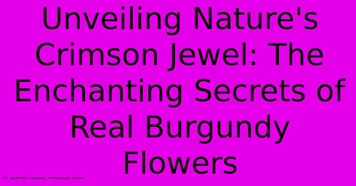 Unveiling Nature's Crimson Jewel: The Enchanting Secrets Of Real Burgundy Flowers