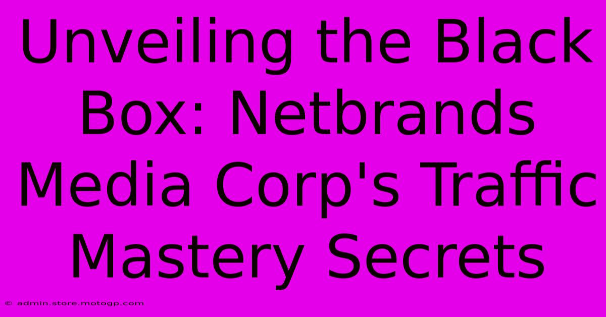 Unveiling The Black Box: Netbrands Media Corp's Traffic Mastery Secrets