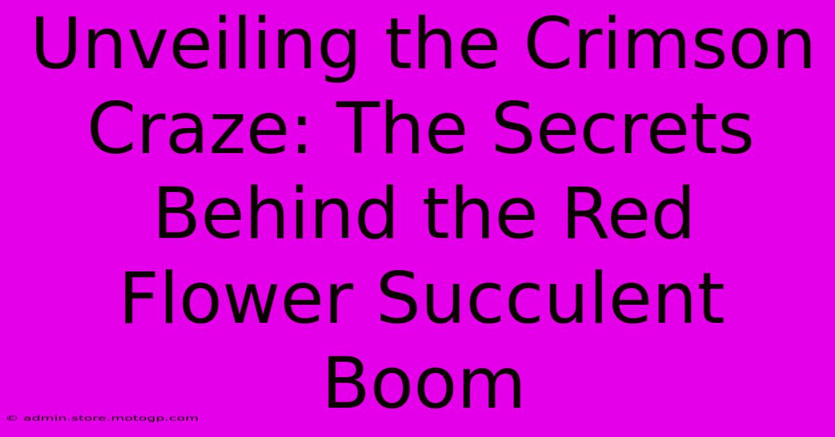 Unveiling The Crimson Craze: The Secrets Behind The Red Flower Succulent Boom