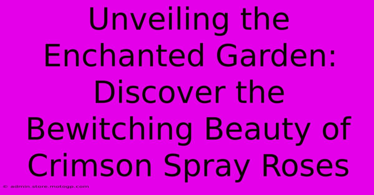 Unveiling The Enchanted Garden: Discover The Bewitching Beauty Of Crimson Spray Roses