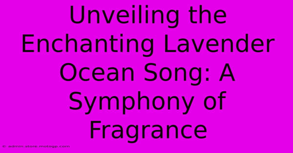 Unveiling The Enchanting Lavender Ocean Song: A Symphony Of Fragrance