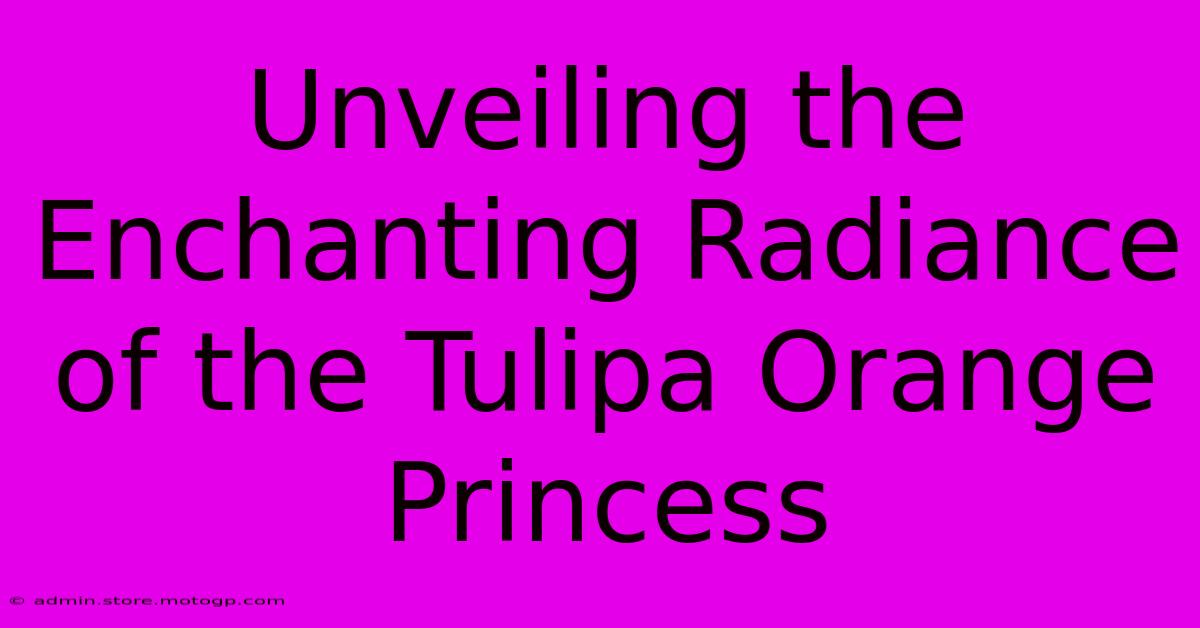 Unveiling The Enchanting Radiance Of The Tulipa Orange Princess