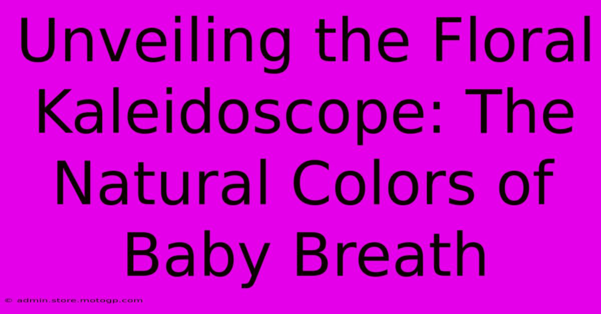 Unveiling The Floral Kaleidoscope: The Natural Colors Of Baby Breath