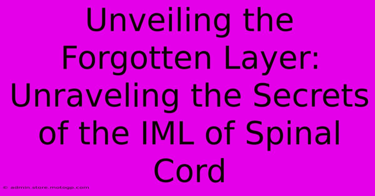 Unveiling The Forgotten Layer: Unraveling The Secrets Of The IML Of Spinal Cord