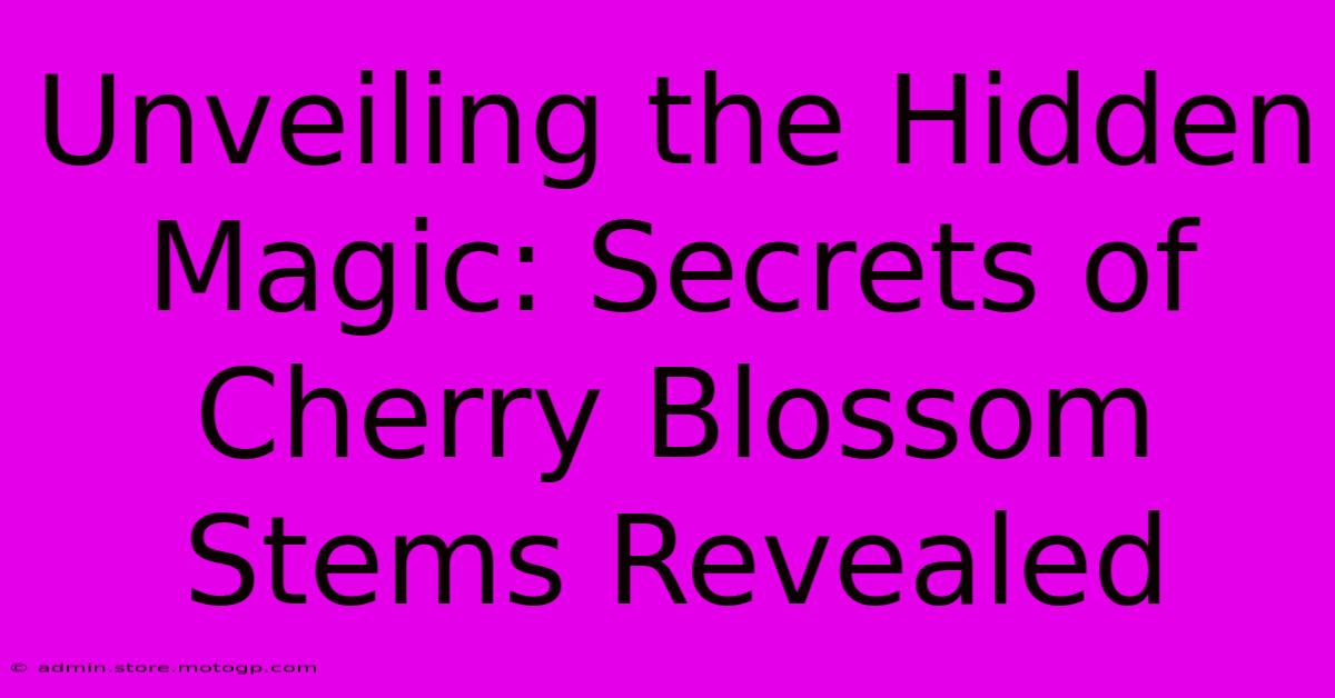 Unveiling The Hidden Magic: Secrets Of Cherry Blossom Stems Revealed