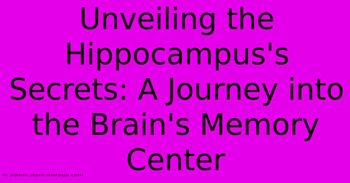 Unveiling The Hippocampus's Secrets: A Journey Into The Brain's Memory Center