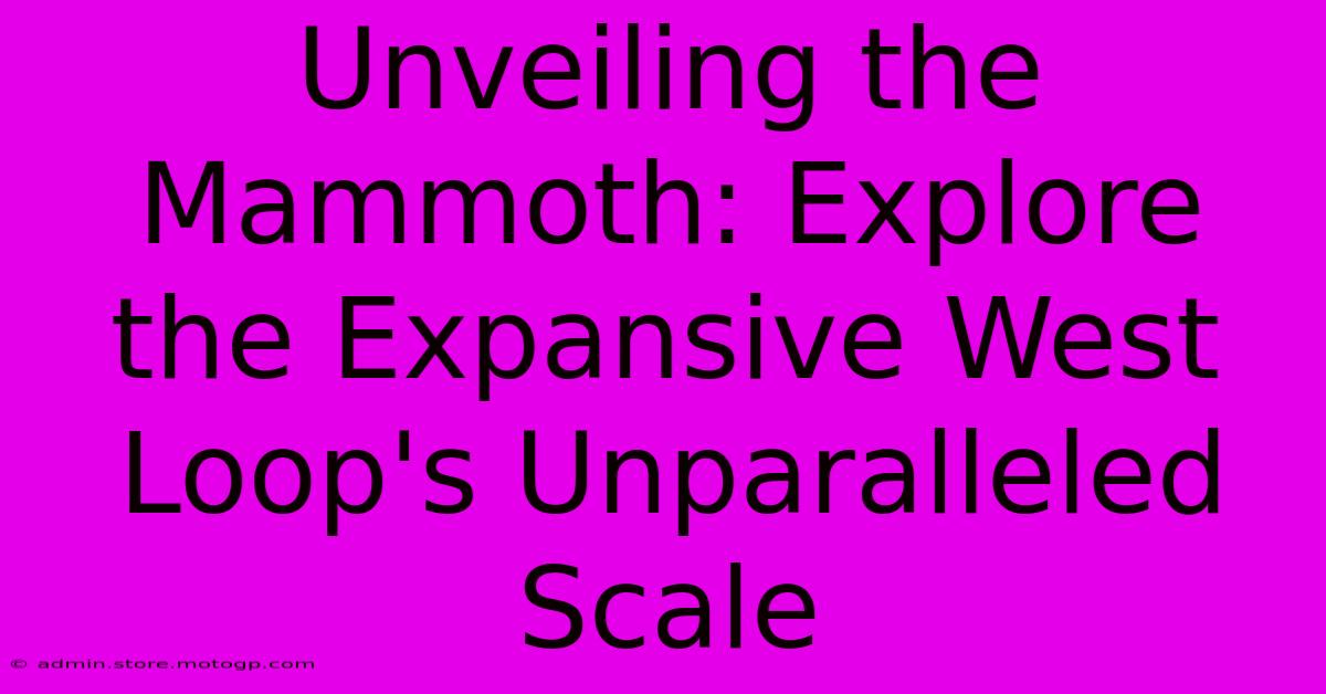 Unveiling The Mammoth: Explore The Expansive West Loop's Unparalleled Scale