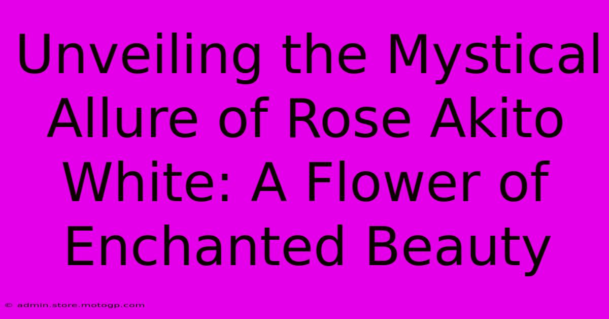 Unveiling The Mystical Allure Of Rose Akito White: A Flower Of Enchanted Beauty