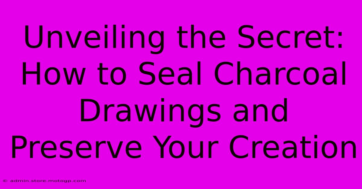 Unveiling The Secret: How To Seal Charcoal Drawings And Preserve Your Creation