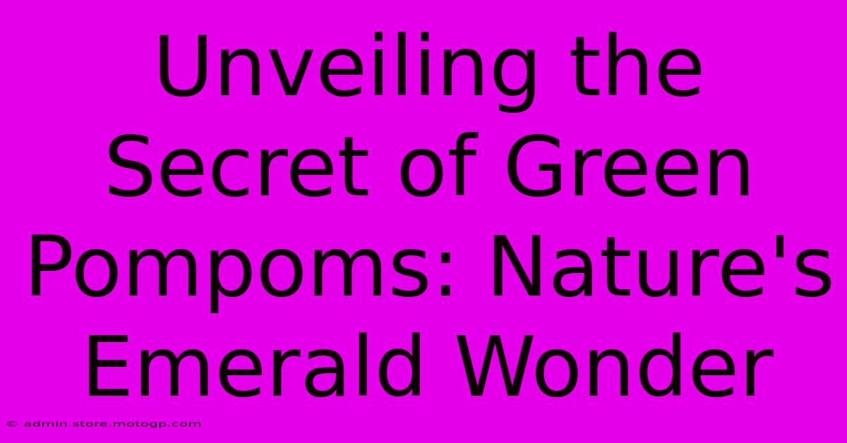 Unveiling The Secret Of Green Pompoms: Nature's Emerald Wonder