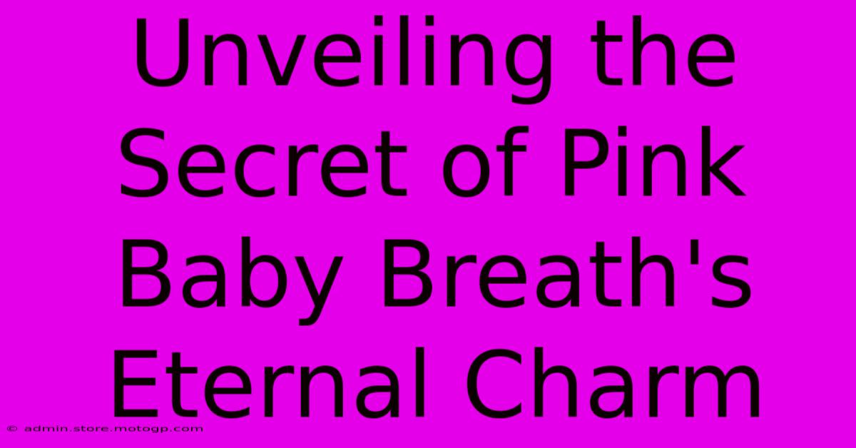 Unveiling The Secret Of Pink Baby Breath's Eternal Charm