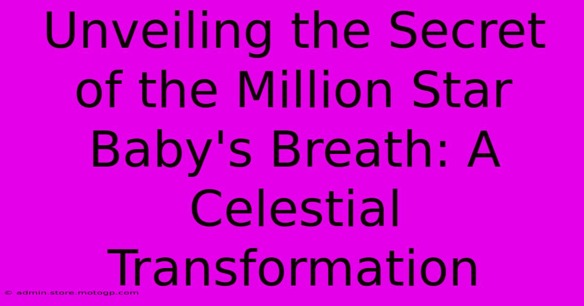 Unveiling The Secret Of The Million Star Baby's Breath: A Celestial Transformation