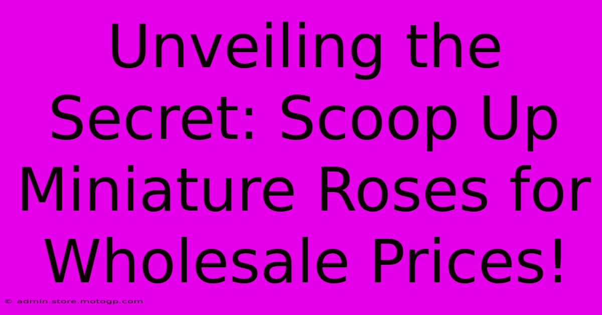 Unveiling The Secret: Scoop Up Miniature Roses For Wholesale Prices!