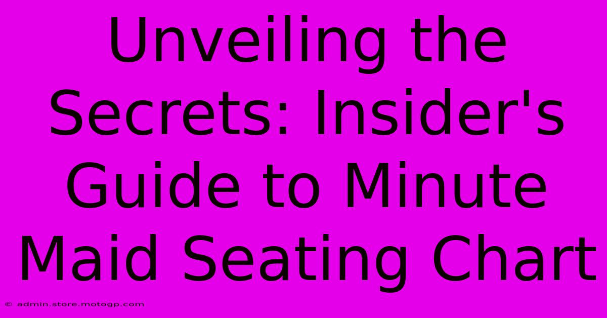 Unveiling The Secrets: Insider's Guide To Minute Maid Seating Chart