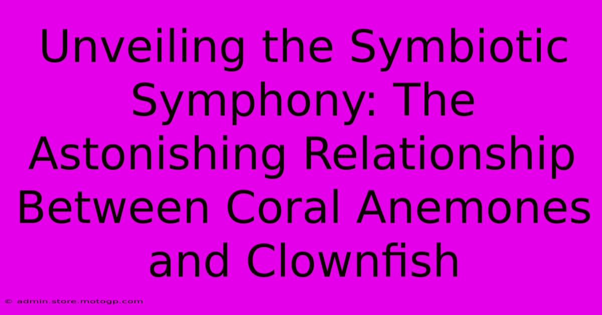 Unveiling The Symbiotic Symphony: The Astonishing Relationship Between Coral Anemones And Clownfish