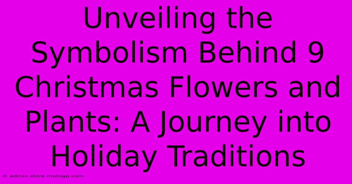 Unveiling The Symbolism Behind 9 Christmas Flowers And Plants: A Journey Into Holiday Traditions