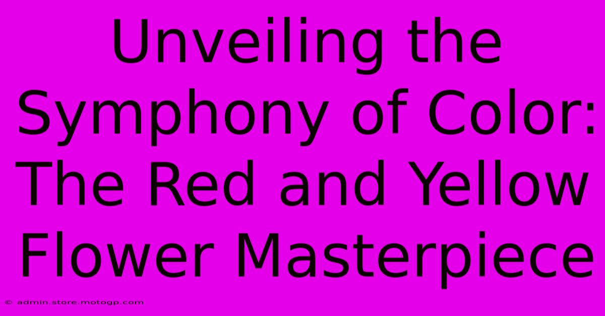 Unveiling The Symphony Of Color: The Red And Yellow Flower Masterpiece