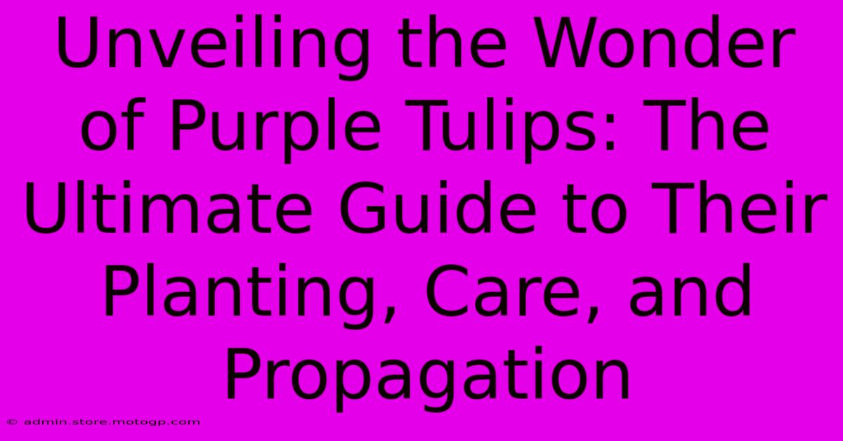 Unveiling The Wonder Of Purple Tulips: The Ultimate Guide To Their Planting, Care, And Propagation