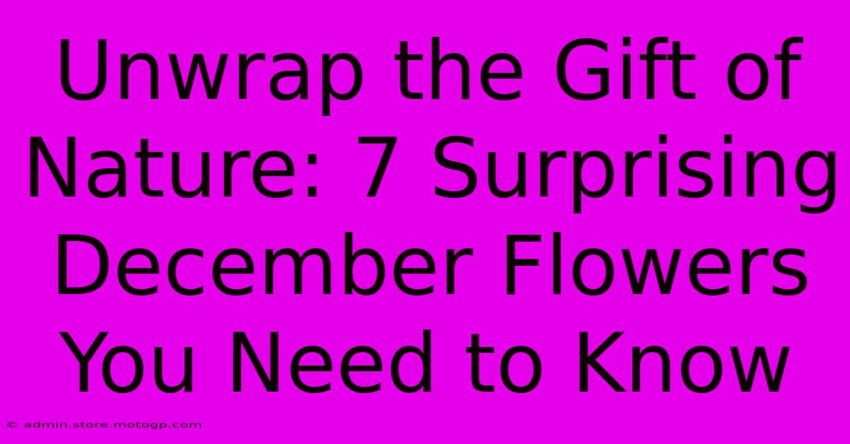 Unwrap The Gift Of Nature: 7 Surprising December Flowers You Need To Know