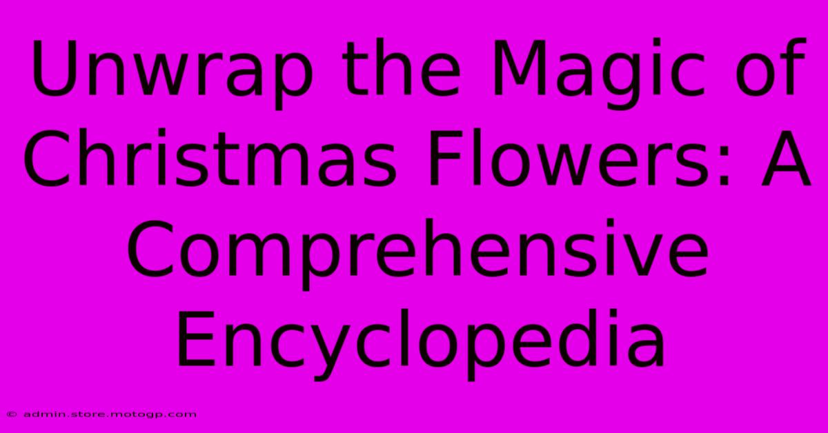 Unwrap The Magic Of Christmas Flowers: A Comprehensive Encyclopedia