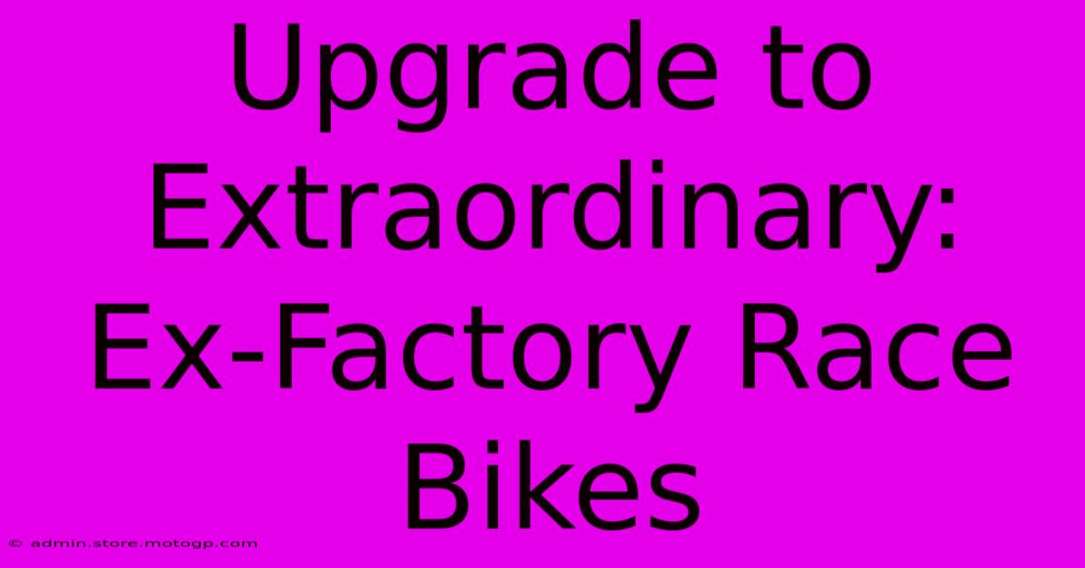 Upgrade To Extraordinary: Ex-Factory Race Bikes