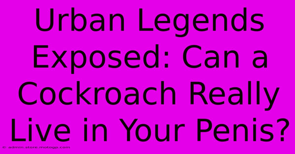 Urban Legends Exposed: Can A Cockroach Really Live In Your Penis?