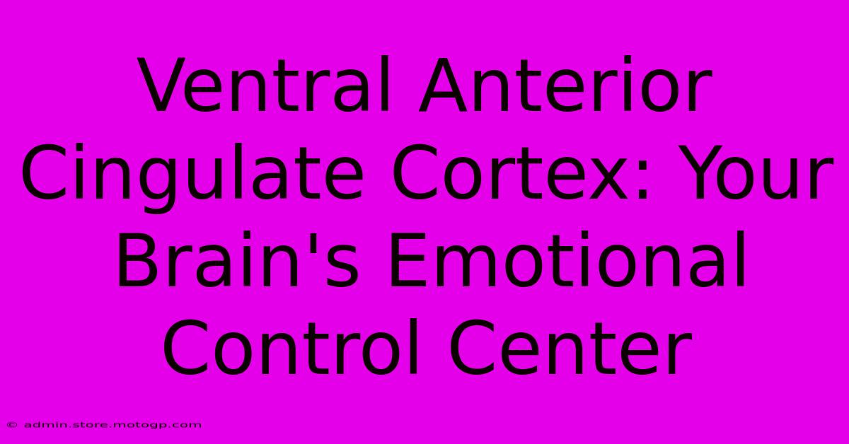 Ventral Anterior Cingulate Cortex: Your Brain's Emotional Control Center