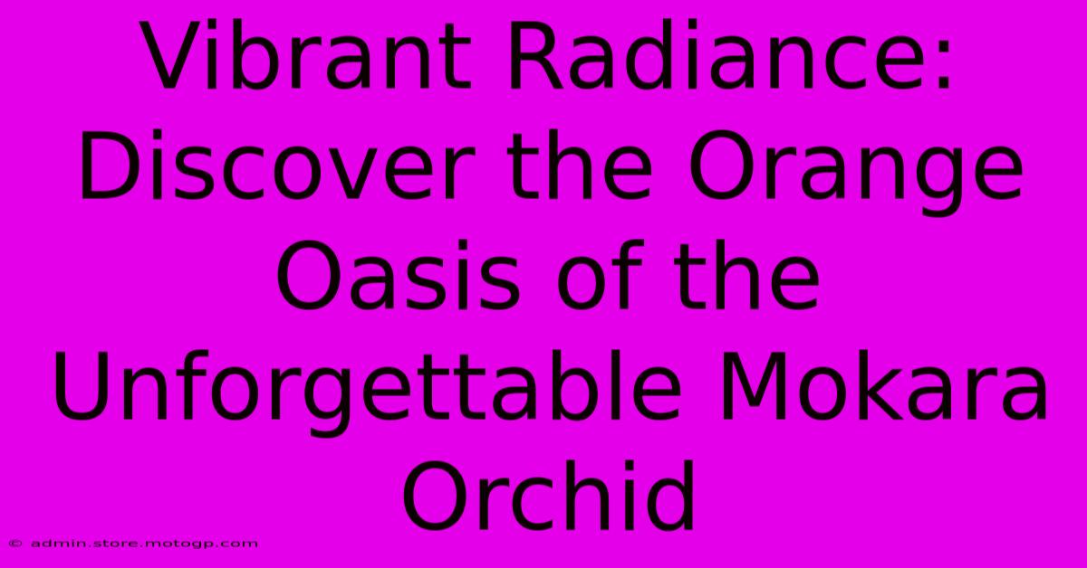 Vibrant Radiance: Discover The Orange Oasis Of The Unforgettable Mokara Orchid