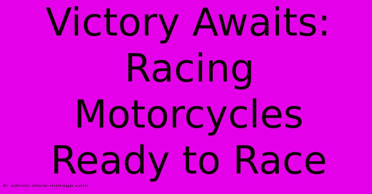 Victory Awaits: Racing Motorcycles Ready To Race